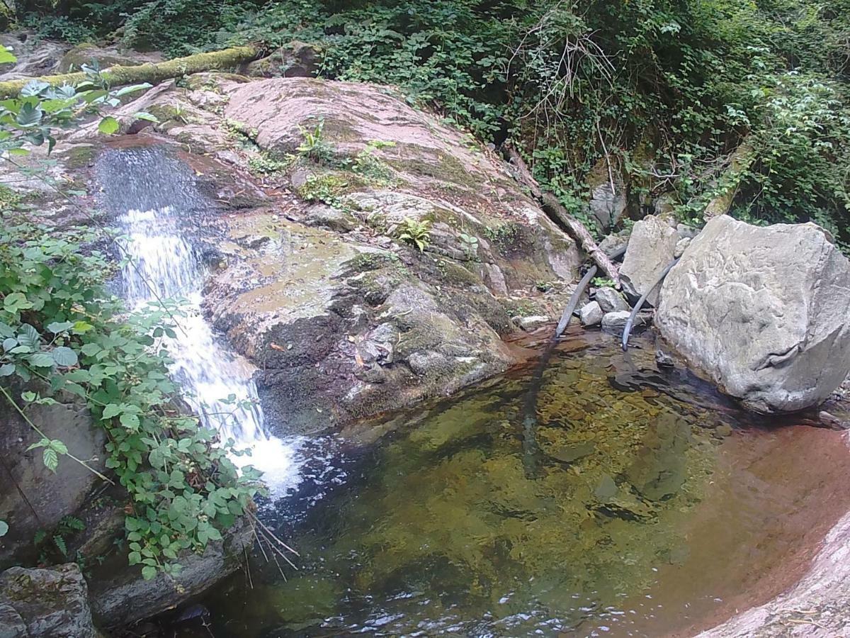 La Cantina Del Sole Riccò del Golfo di Spezia Eksteriør bilde